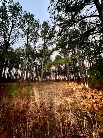 $100,000 | Tbd Wateree Road, Great Falls, SC 29055