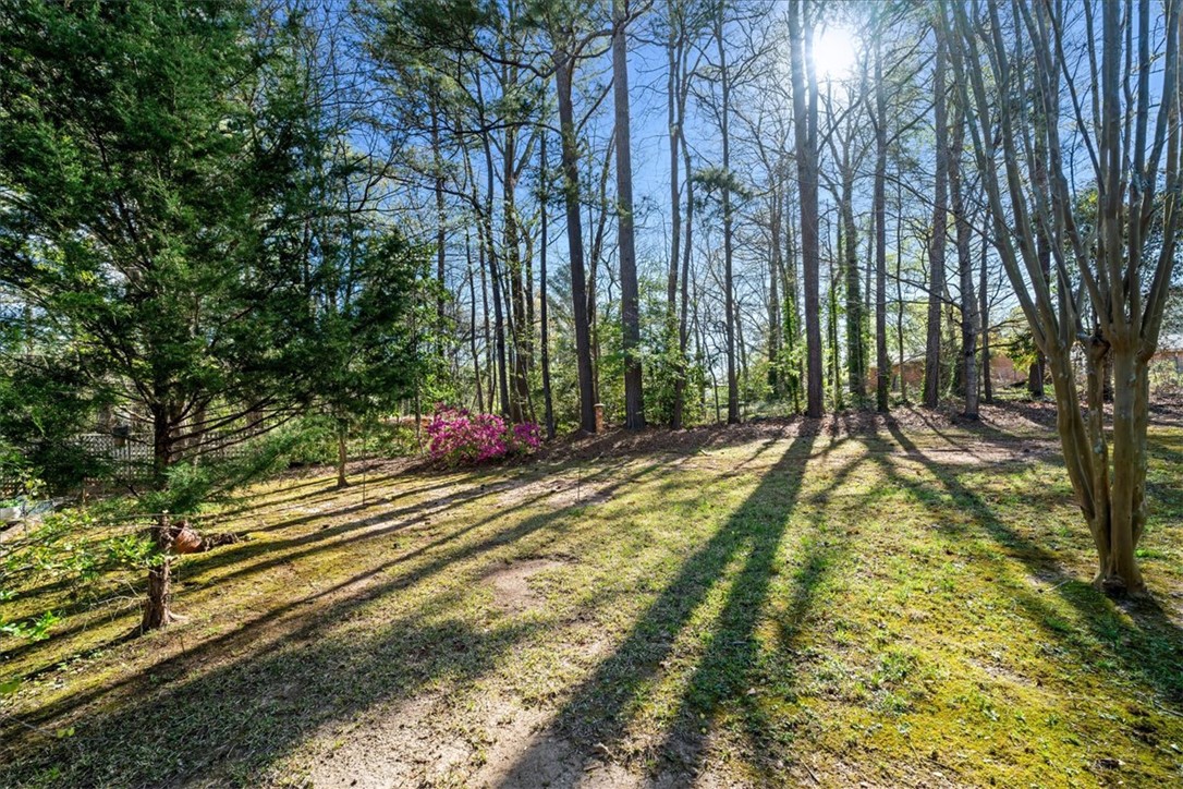 936 Chester Circle, Unit HOPKINS Pendleton, SC 29670 - Photo 29 of 35