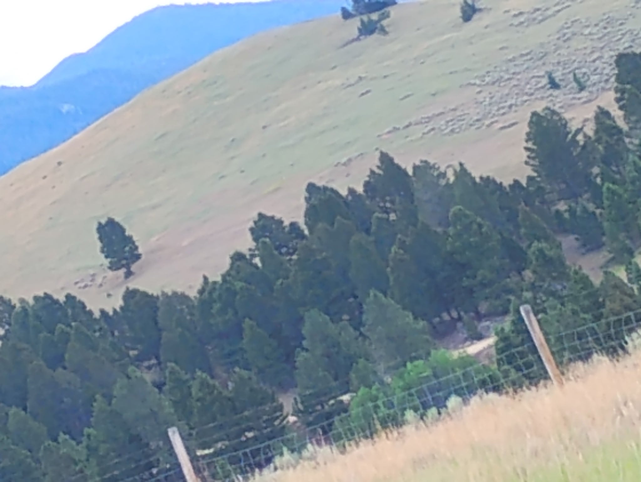 Lot 113 Aspen Valley Ranches Boulder, MT 59632 - Photo 2 of 4 Gallery Image 2