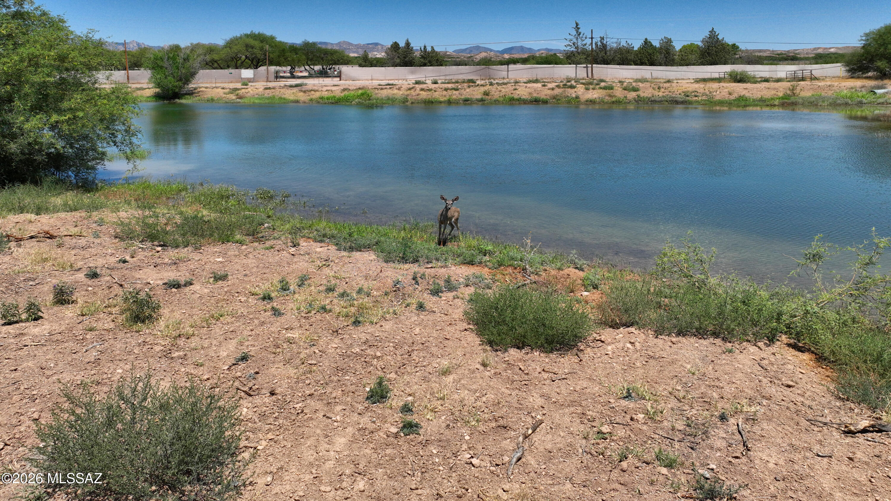 Tbd South Curtis Flats Road St. David, AZ 85630 - Photo 6 of 27 DJI_0904