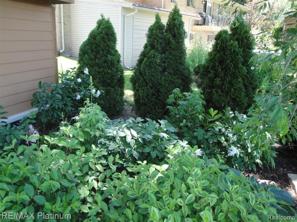 4302 Rurik Drive Howell, MI 48843 - Photo 14 of 91 Garden view 2