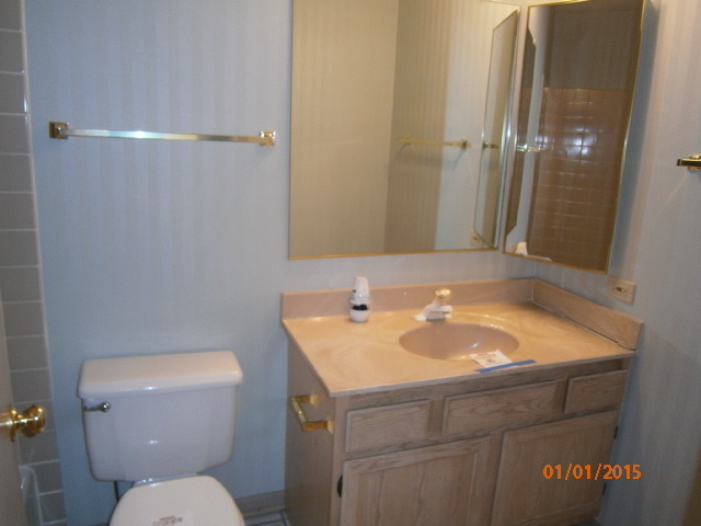 N686 Chelsea Circle Winfield, IL 60190 - Photo 11 of 25 a bathroom with a sink and a toilet