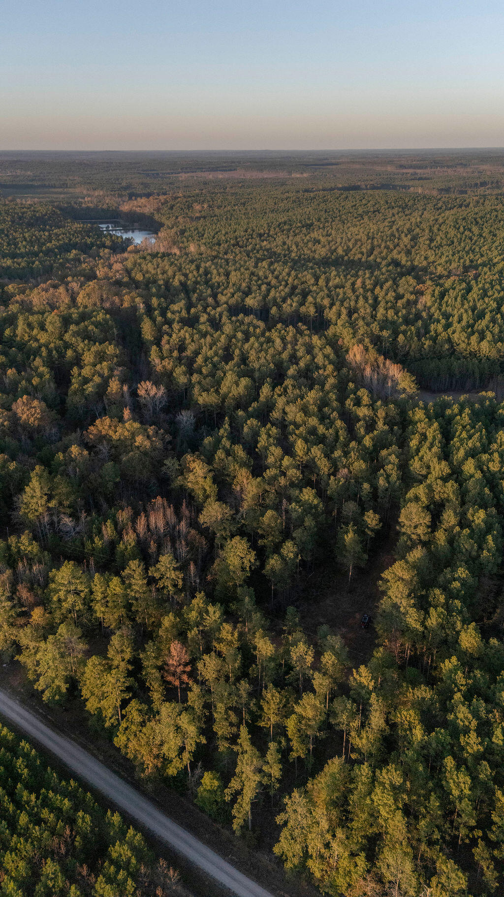 Tbd Barr Chapel Road Edgefield, SC 29824 - Photo 3 of 15