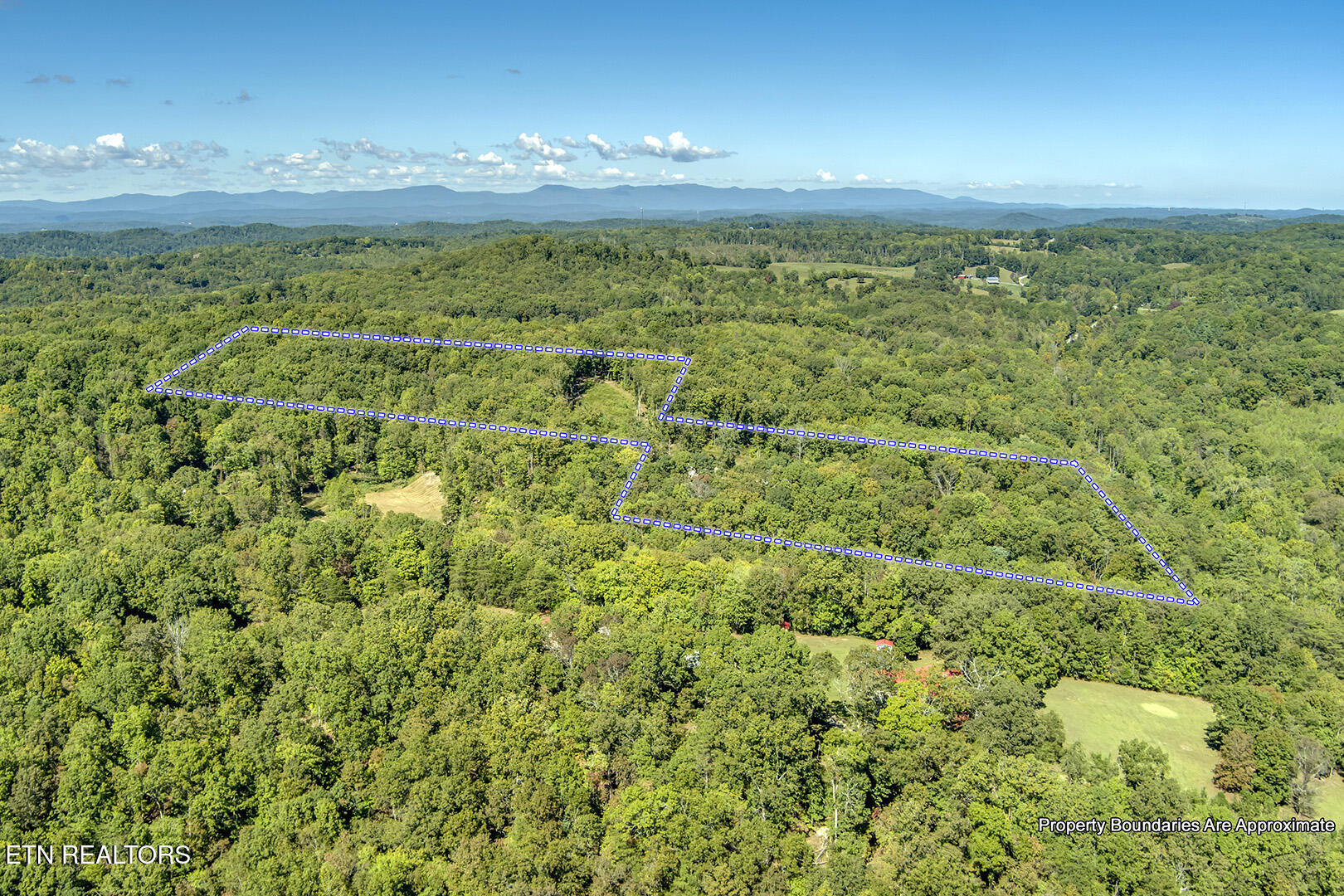 680 Dogwood Valley Road Kingston, TN 37763 - Photo 59 of 60 59_DogwoodValleyRoad_680_Birdseye_N-NE