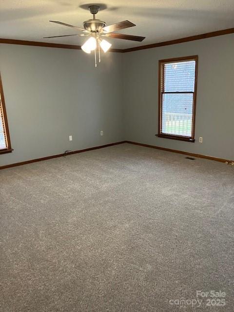 4462-1 Hoover Road Lawndale, NC 28090 - Photo 18 of 38 a view of an empty room with a window