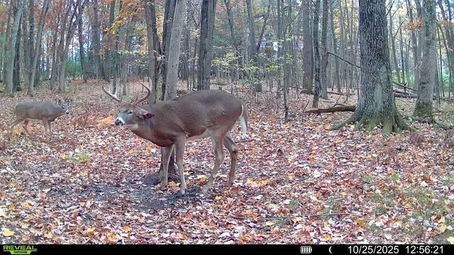 $1,179,900 | 28133 Co Hwy ET, Tomah, WI 54660