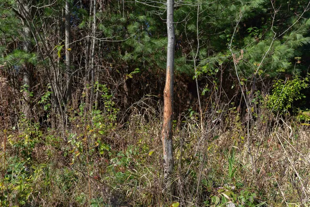 $1,179,900 | 28133 Co Hwy ET, Tomah, WI 54660