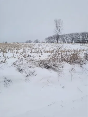 $47,500 | 0 County Highway, Neillsville, WI 54456