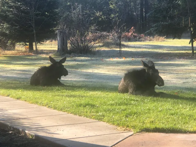 $899,000 | 4529 East Diagonal Road, Rathdrum, ID 83858