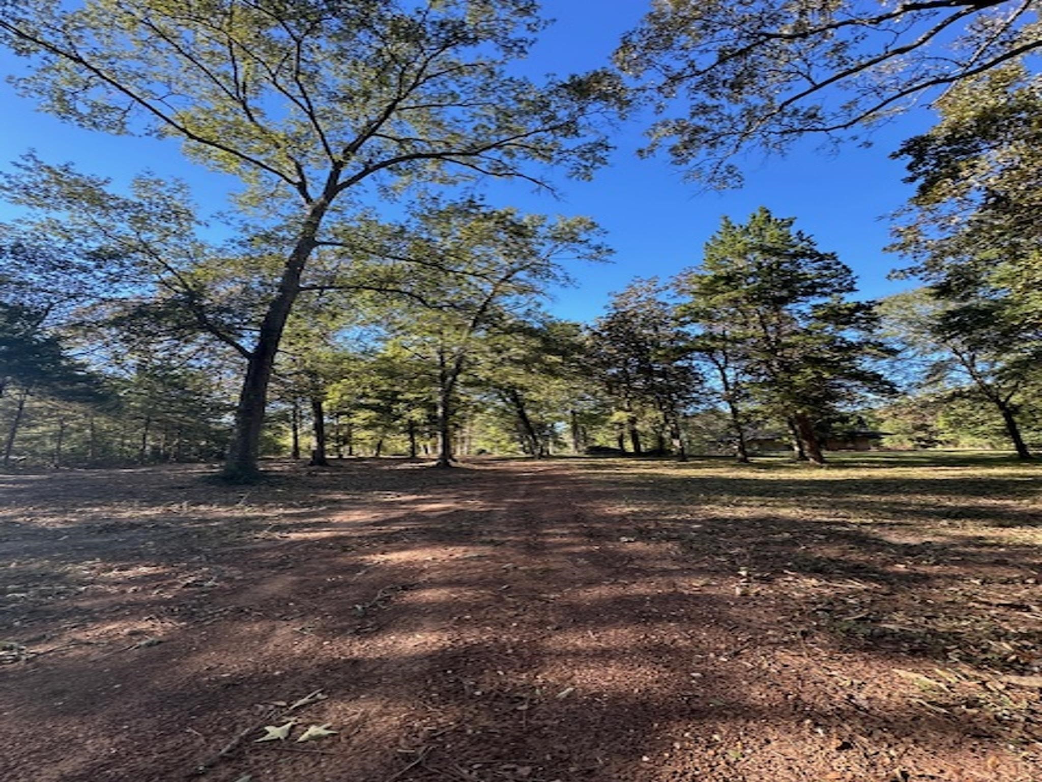 Tbd Magnolia Drive Conroe, TX 77303 - Photo 11 of 11 a view of a yard