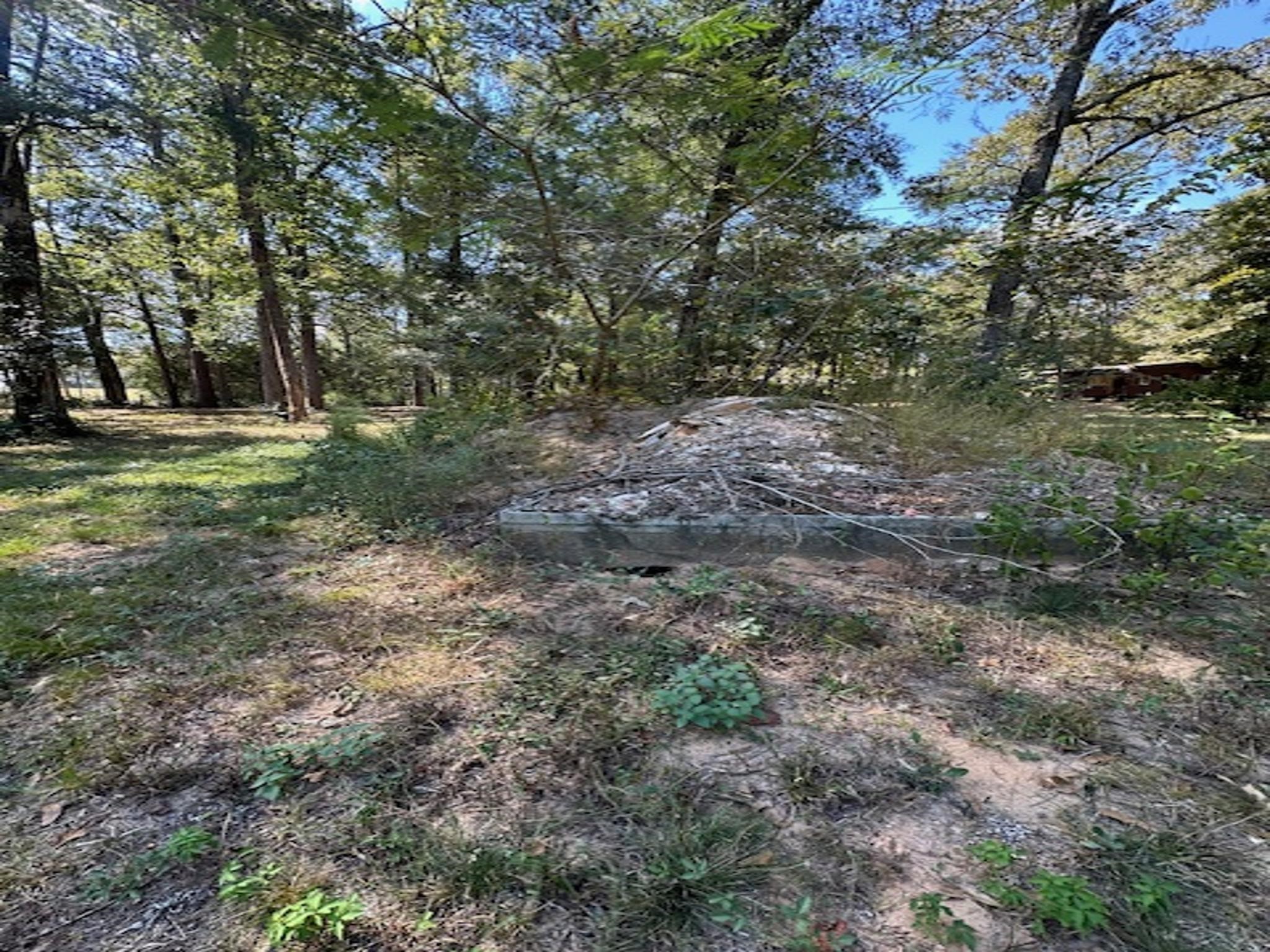 Tbd Magnolia Drive Conroe, TX 77303 - Photo 5 of 11 a view of a forest with trees in the background