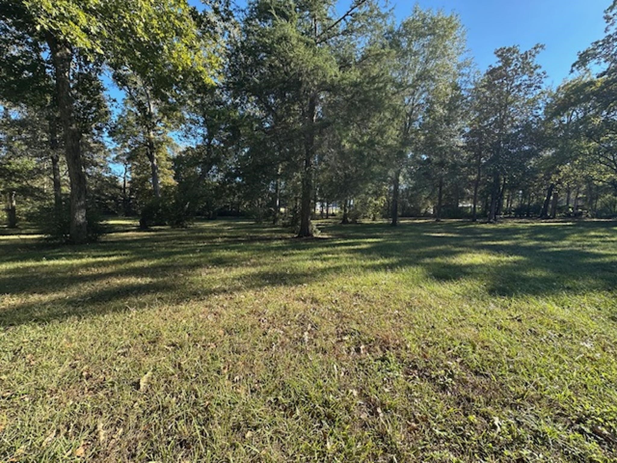 Tbd Magnolia Drive Conroe, TX 77303 - Photo 7 of 11 a view of a golf course