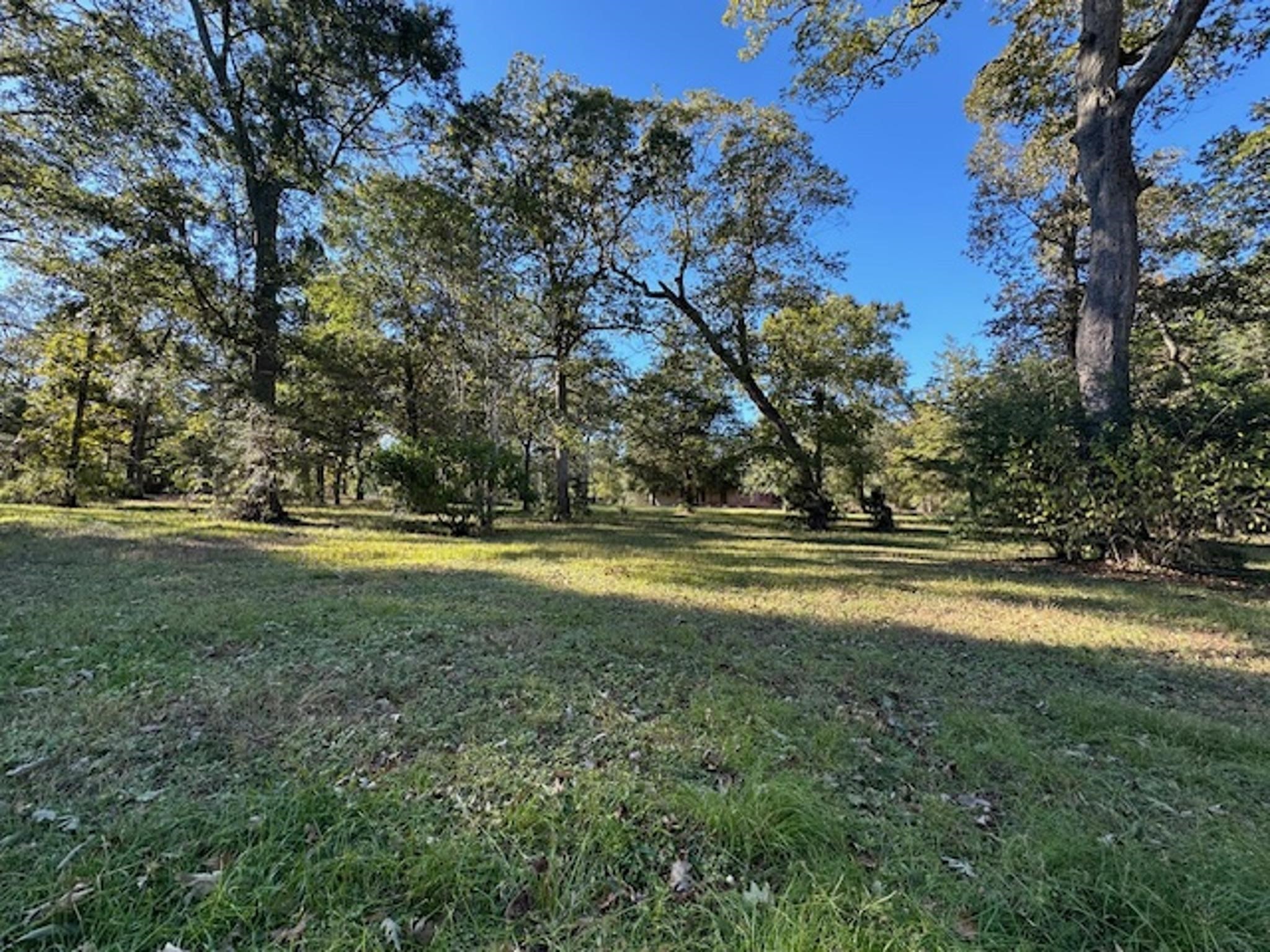 Tbd Magnolia Drive Conroe, TX 77303 - Photo 9 of 11 a view of yard with large trees