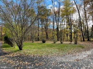 4385 Middletown Road Pomfret, MD 20675 - Photo 5 of 21 Gallery Image 5