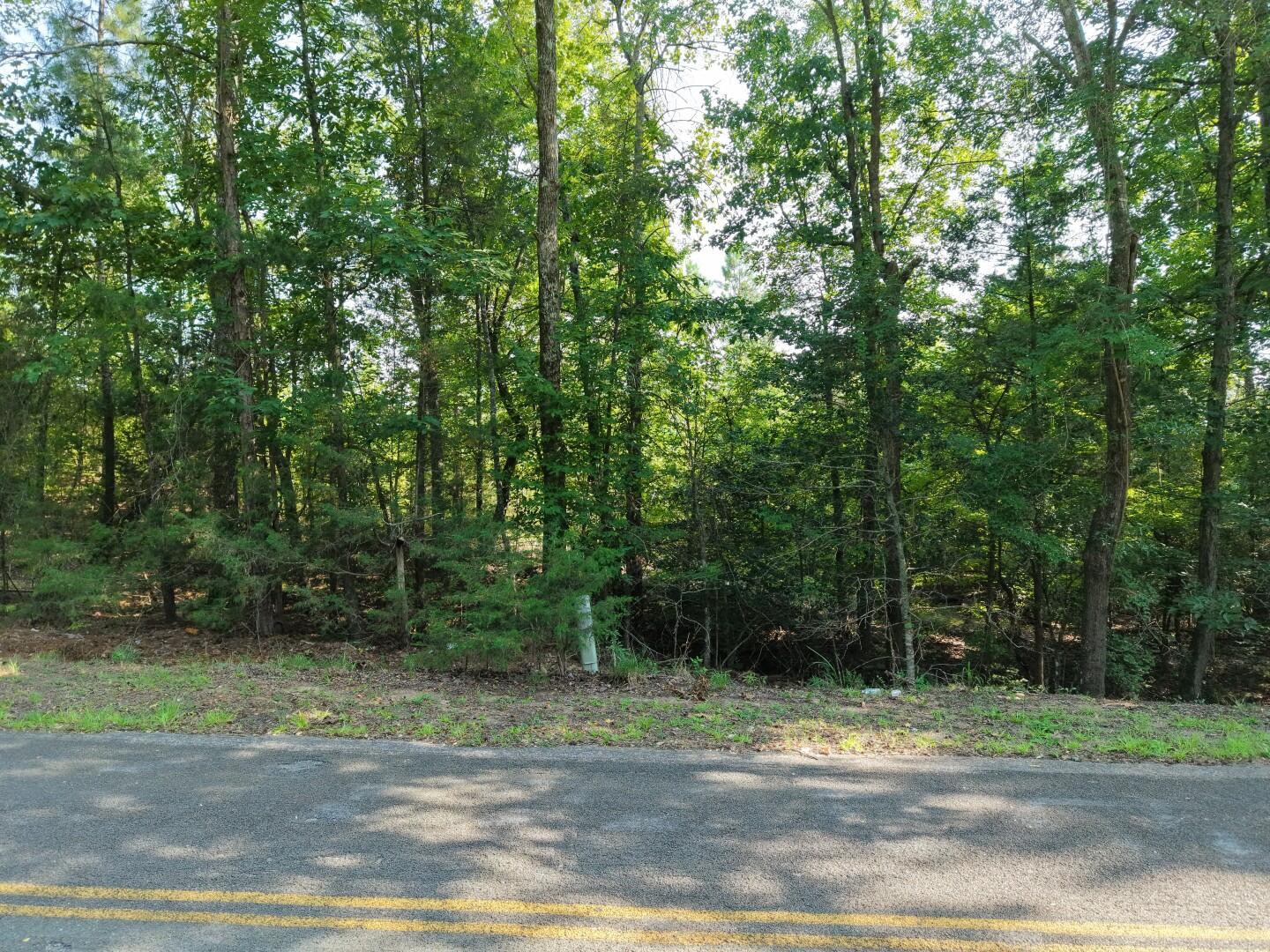 3096 State Rd S-20-33, Unit 2 Blair, SC 29015 - Photo 9 of 32 DJI_20260811170812_0259_D (Large)