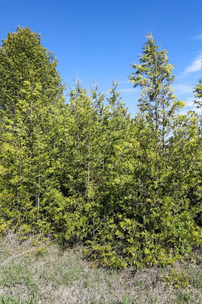 Lot 8 Golf View Road Sturgeon Bay, WI 54235 - Photo 5 of 38