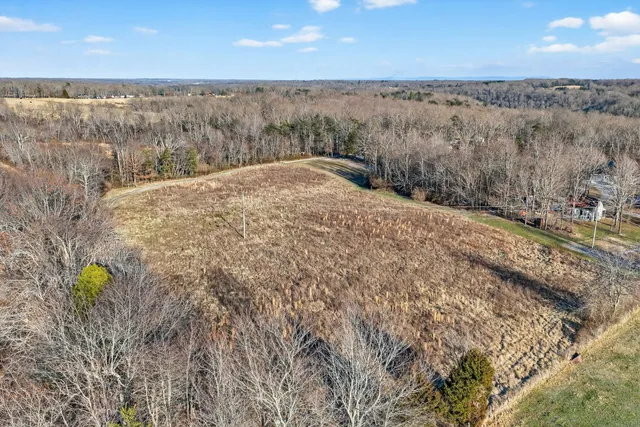 a view of a bunch of trees and bushes