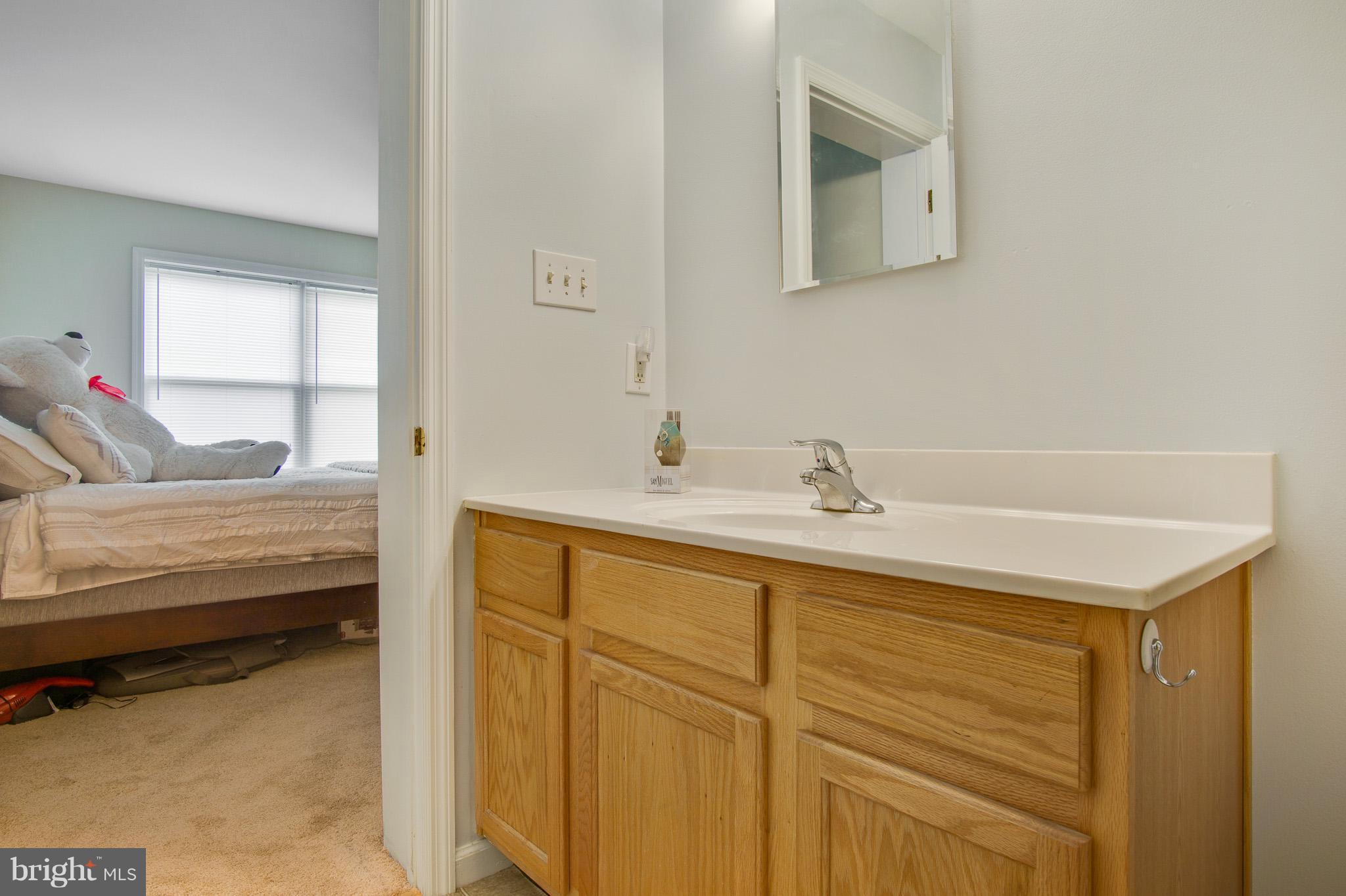 280 Cherry Hill Road Elkton, MD 21921 - Photo 13 of 20 Bath (Master)