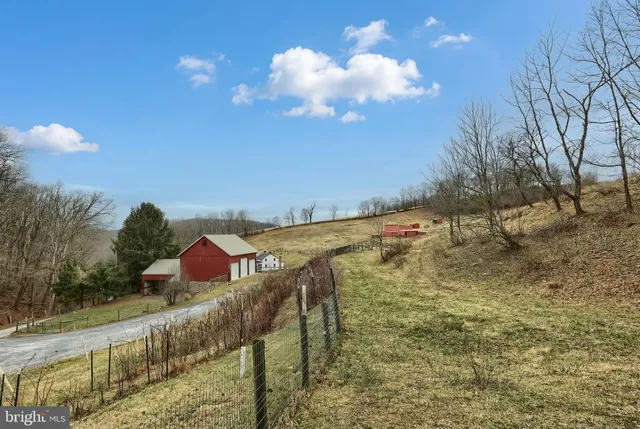 a backyard of a house with a yard and potted plants