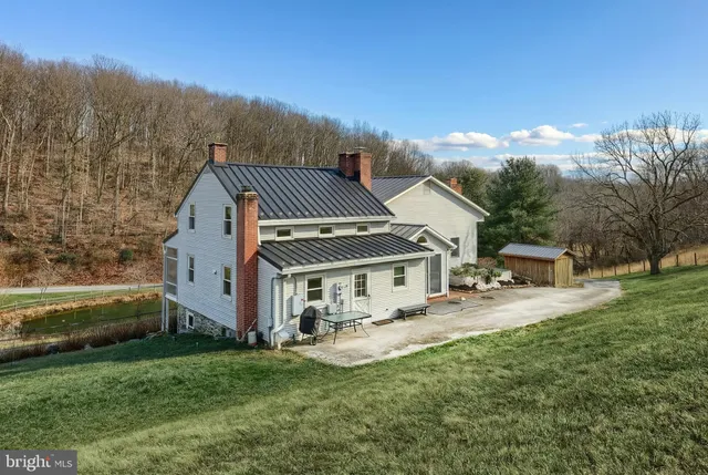 a view of a big yard with potted plants and large tree