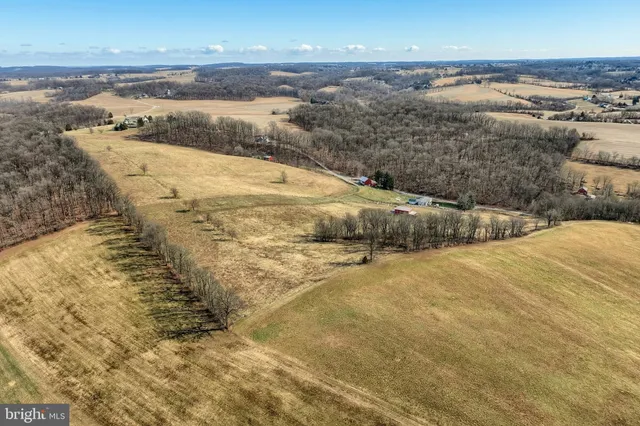 a view of a lake with a yard and large trees