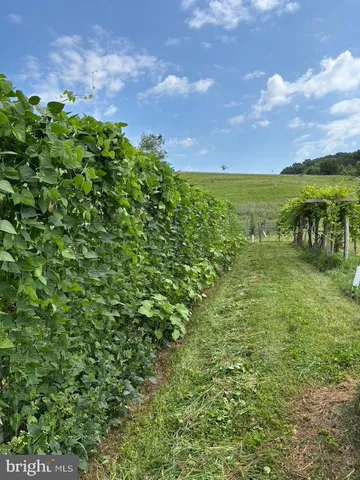 $1,500,000 | 12046 Bohr Court, Glen Rock, PA 17327