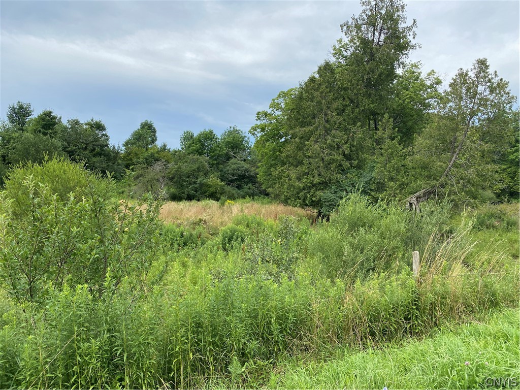0 West Road Constableville, NY 13325 - Photo 2 of 3 Gallery Image 2