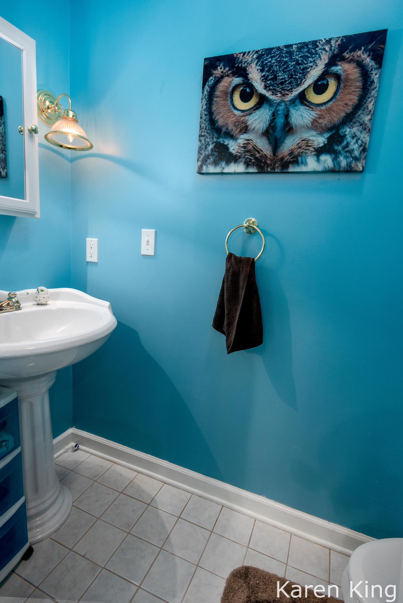 3597 Rustic Lane Hamilton, MI 49419 - Photo 25 of 35 Main 1/2 Bath
