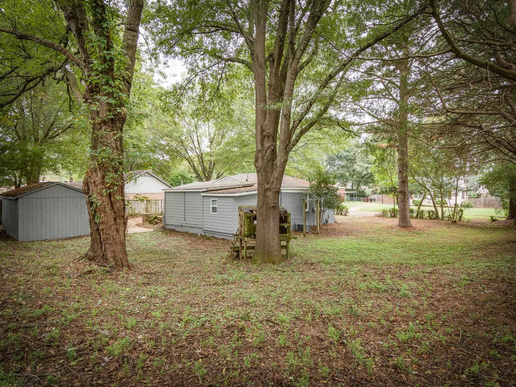 450 Homeville Road Collierville, TN 38017 - Photo 17 of 17 View of grassy yard featuring a shed