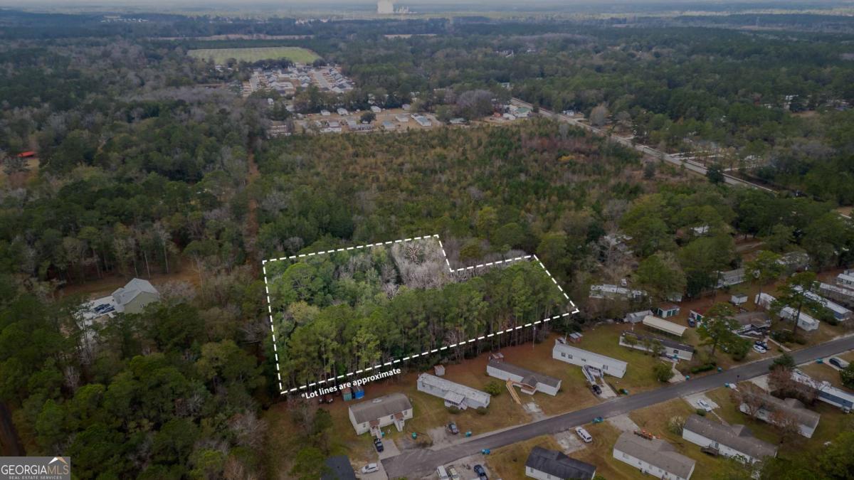 0 Cricket Lane Rincon, GA 31326 - Photo 7 of 10