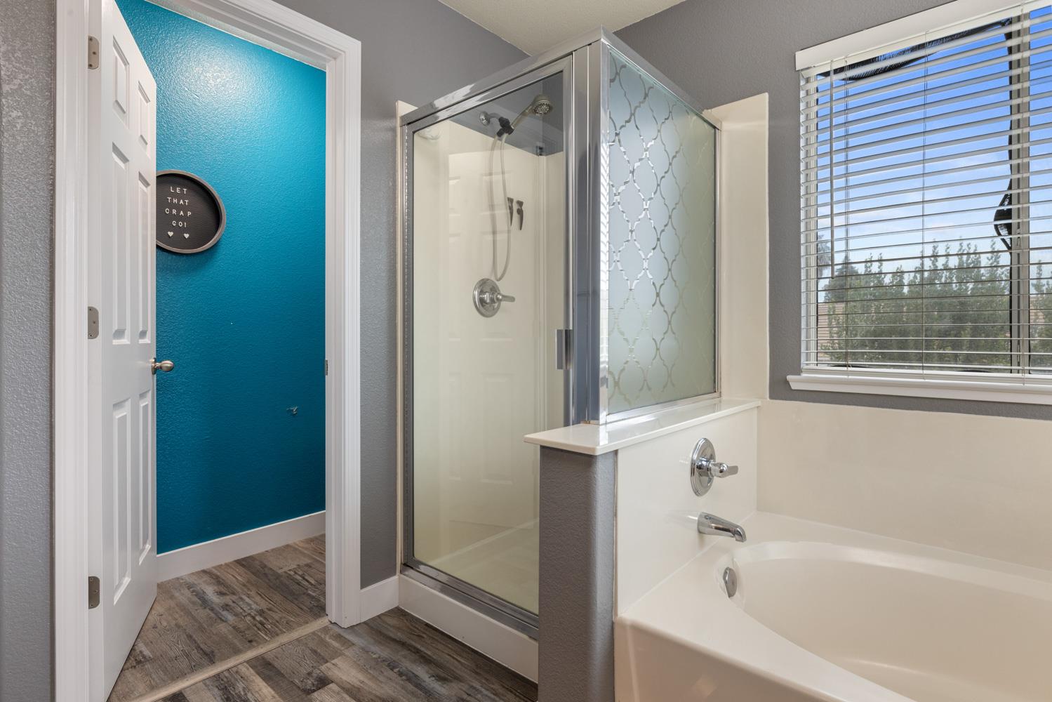 818 Travaille Way Ripon, CA 95366 - Photo 44 of 52 a bathroom with a bathtub and a shower