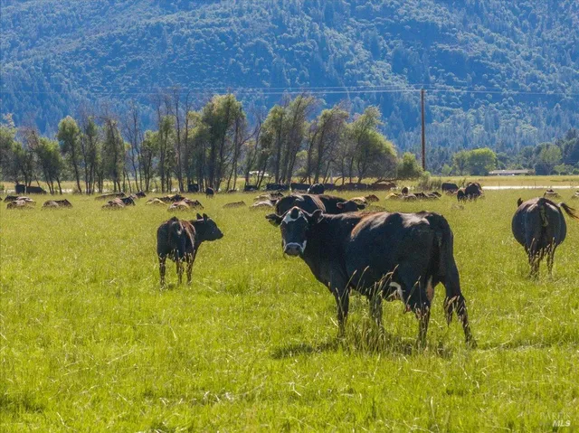 $4,400,000 | 42079 River Bank Road, Fall River Mills, CA 96028