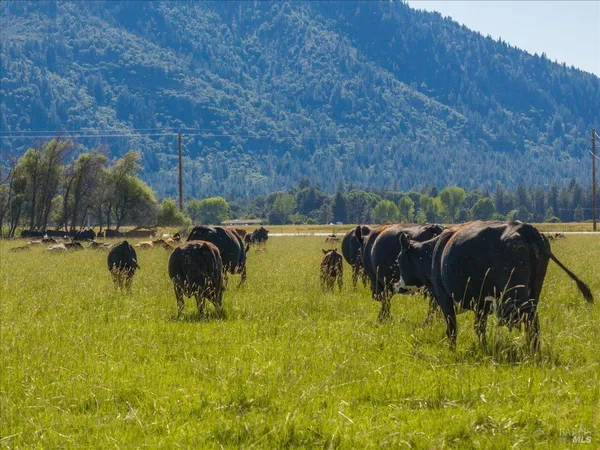 $4,400,000 | 42079 River Bank Road, Fall River Mills, CA 96028