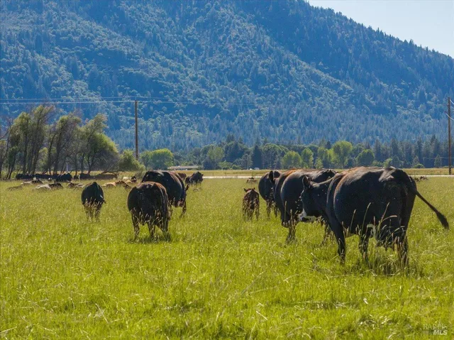 $4,400,000 | 42079 River Bank Road, Fall River Mills, CA 96028