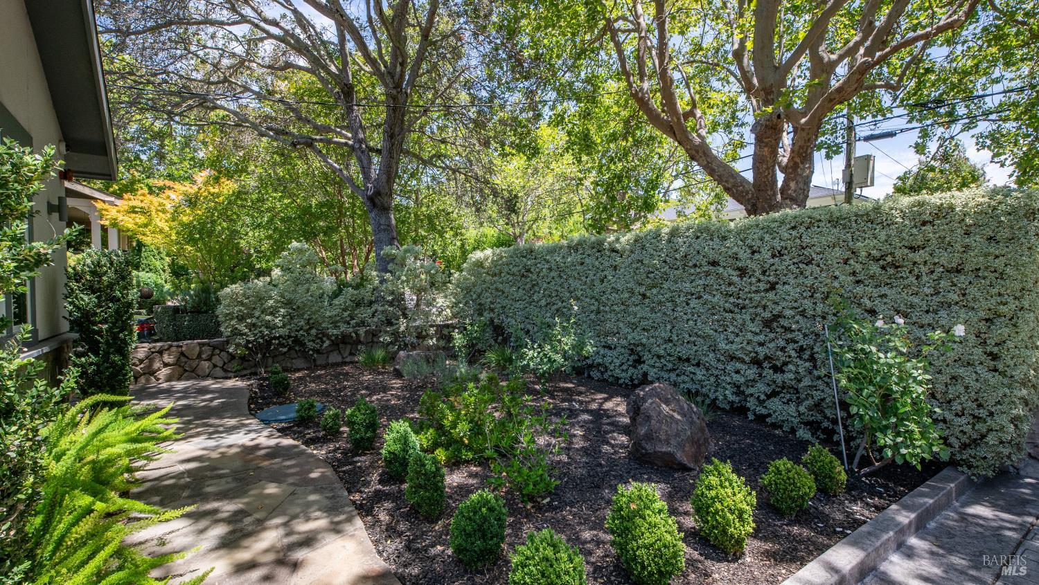 21 Eye Street San Rafael, CA 94901 - Photo 6 of 92