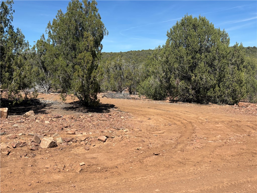 352-38-012 352-38-012 Badger Ridge Road Kingman, AZ 86401 - Photo 25 of 31