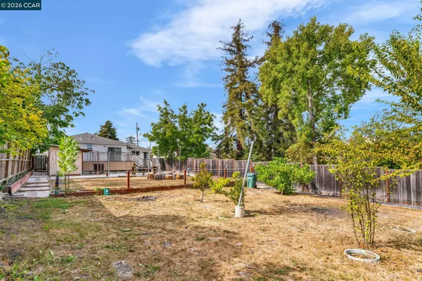 a view of a bench in the garden