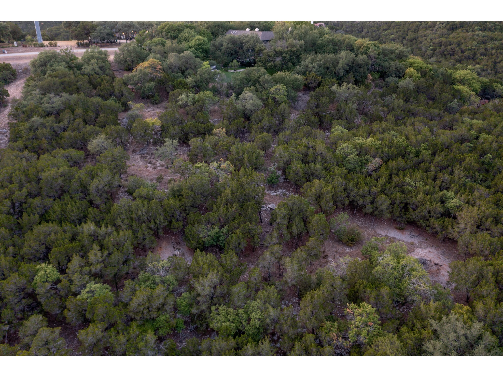 539 Beardsley Lane Austin, TX 78746 - Photo 12 of 24 a view of a forest with a street