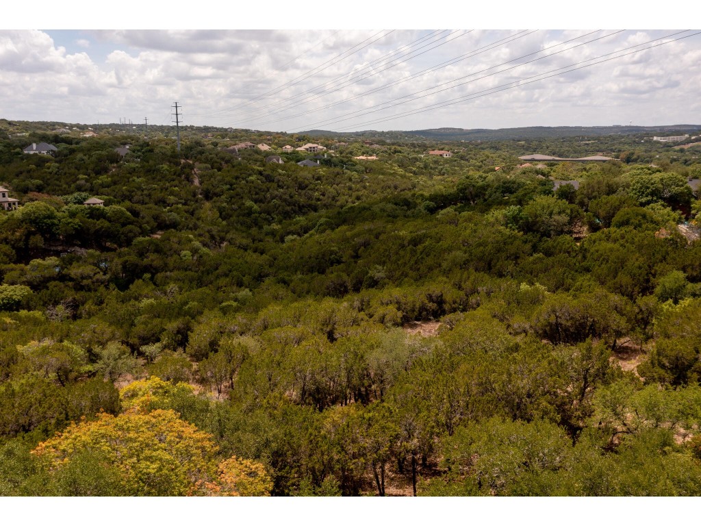 539 Beardsley Lane Austin, TX 78746 - Photo 23 of 24 a view of a city with lush green forest