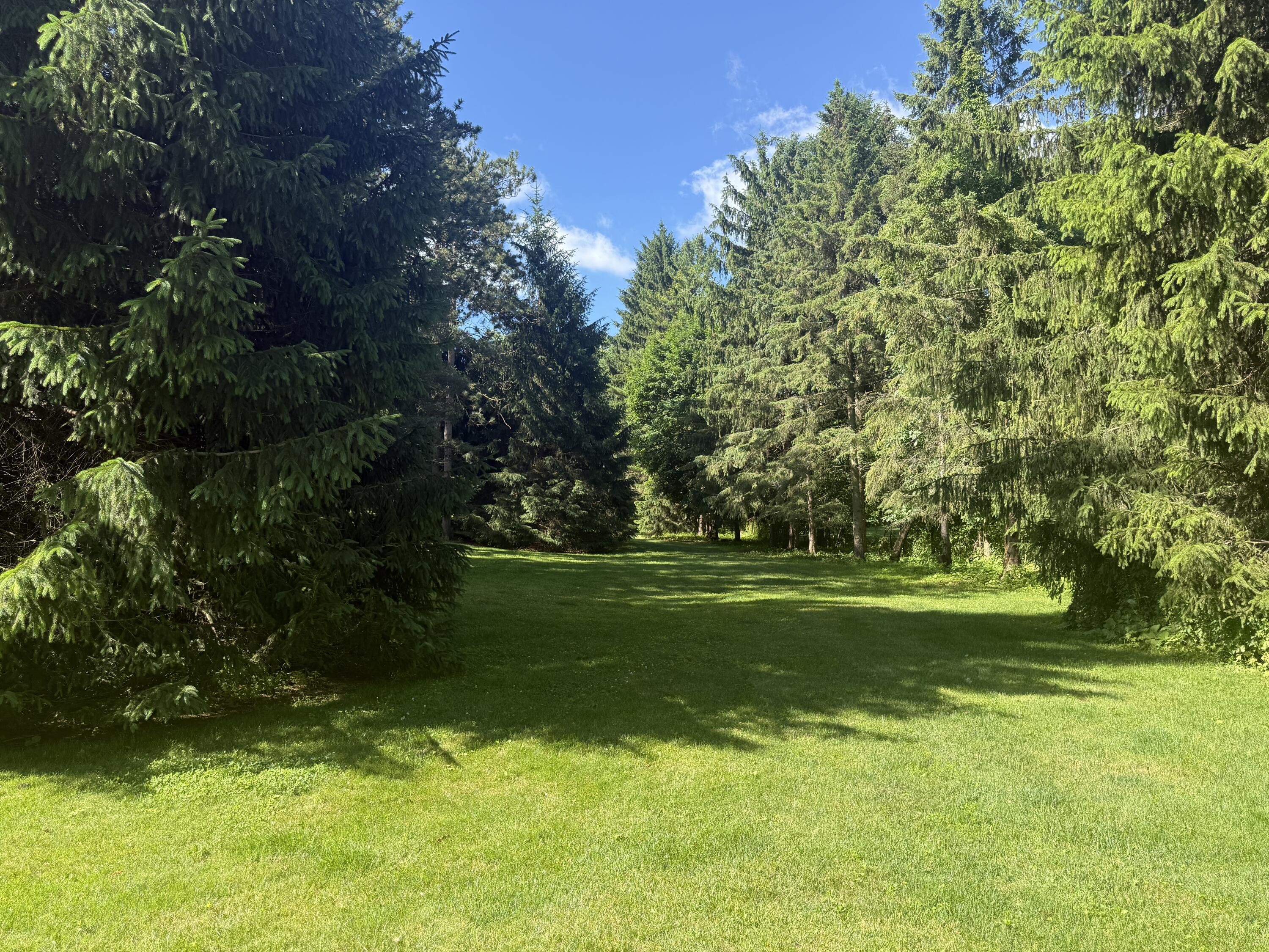 6150 Willow Road West Bloomfield, MI 48324 - Photo 39 of 52 y9