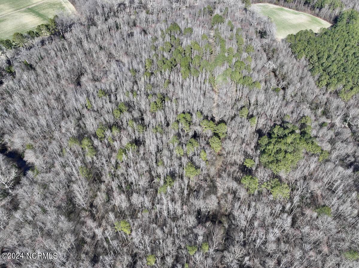 657 Collins Mill Road Castalia, NC 27816 - Photo 99 of 148 DJI_20240220144040_0910_D