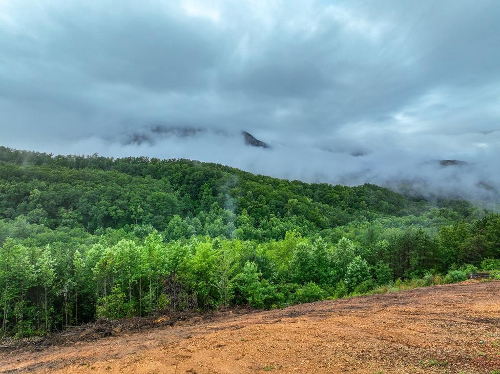 264 Sonshine Ridge Road Cosby, TN 37722 - Photo 24 of 34 Gallery Image 24