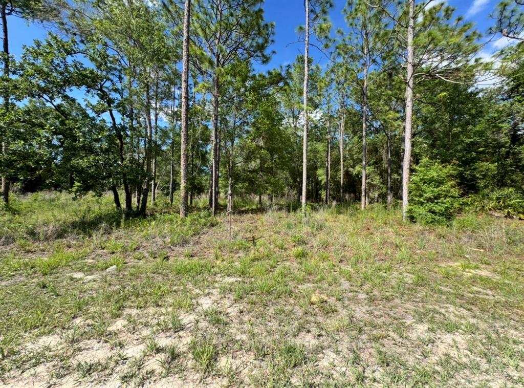 15570 Cliff Swallow Road Weeki Wachee, FL 34614 - Photo 5 of 6 Gallery Image 5