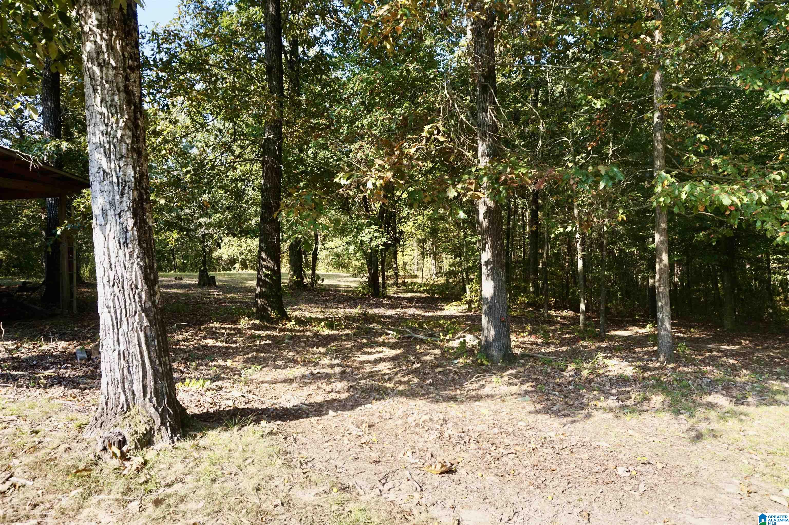 2055 Gum Pond Road Eva, AL 35621 - Photo 49 of 64