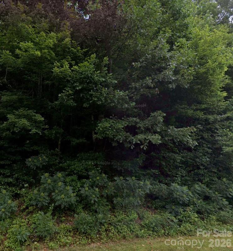 0 Laytown Road Lenoir, NC 28645 - Photo 2 of 2