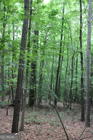 $202,605 | 3 Garnett Ward Road, Hull, GA 30646