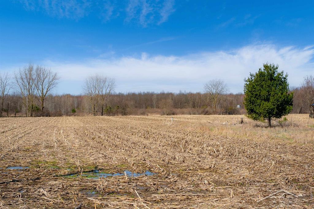 Vl South Iva Road St. Charles, MI 48655 - Photo 4 of 17