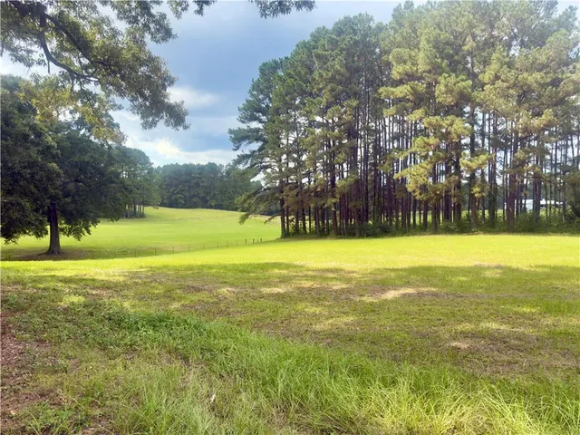$57,500 | 0 Spring Creek Road, Jena, LA 71342