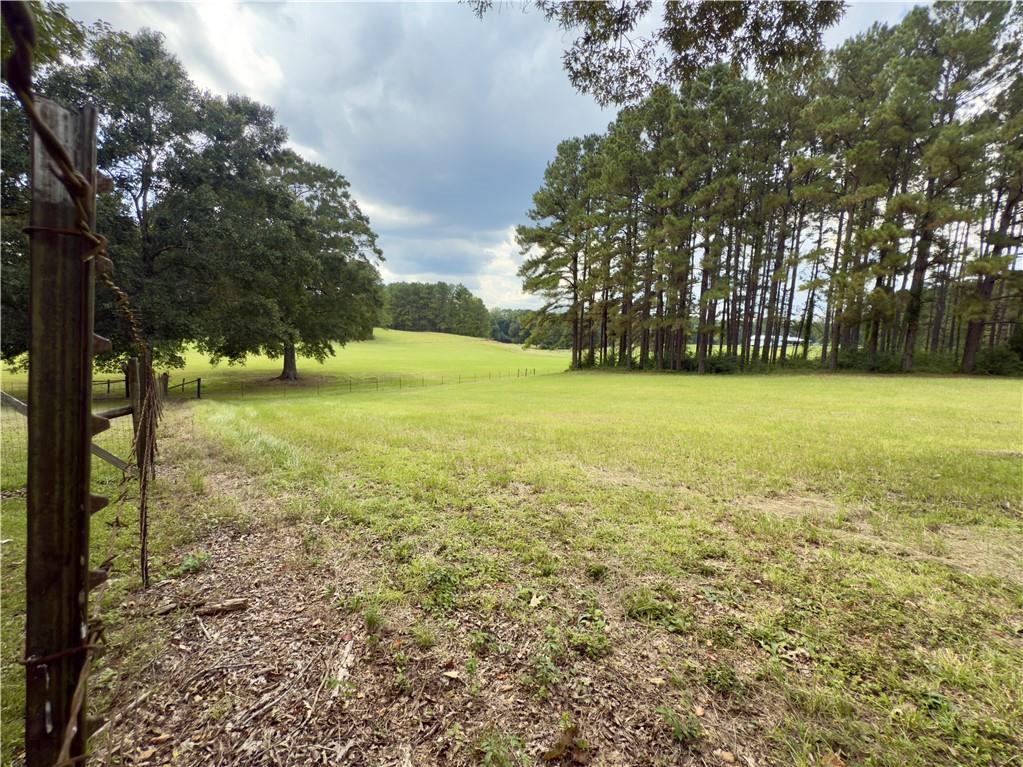 0 Spring Creek Road Jena, LA 71342 - Photo 3 of 6