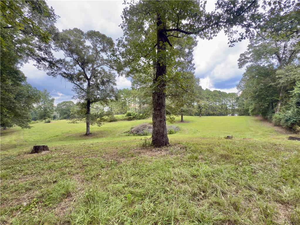 0 Spring Creek Road Jena, LA 71342 - Photo 5 of 6